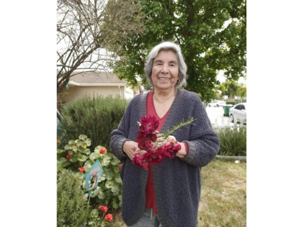 Maria L. Guedea October 1944 – July 2022 Maria Guedea, age 77 of Delhi, passed away on July 17, 2022. she was born in Mexico and lived in Hayward, Union City, and Ceres before settling in Delhi in 1994. She married Glafiro Guedea in 1959 until his passing in 1998. Maria was at her happiest when everyone came together under one roof to celebrate family, catching up, telling stories, laughing and eating well. A walk with Maria through her garden was an education about all the plants and their uses. Throughout our youth, every child and grandchild was blessed with her warm embrace while sitting upon her ever popular lap, often two at a time. As the kids grew up, she continued to be our place to go for comfort, sustenance, and provide safe ground. Maria was selfless in the kitchen where no one entered without being treated to her scrumptious and nonstop cooking. Maria was forever faithfully devoted to her lifelong love Glafiro. Maria is survived by her daughter Lidia Ruiz; son Joseph Guedea; daughter Aracely Aranda, daughter Maria Lampi; daughter Gloria Fernandez; son Jon Guedea; 9 grandchildren; 13 great grandchildren; and one great-great grandchild. She is also survived by her siblings Leonel Longoria, Rodolfo Longoria, Juan Longoria, Adolfo Longoria, and Lupe Santiago. Funeral services will be held on Friday, July 29, 2022, 10 am at Allen Mortuary with interment to follow at Ceres Memorial Park.