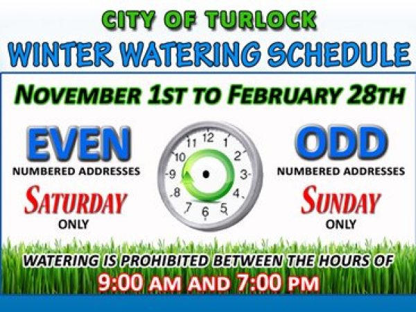 winter watering schedule