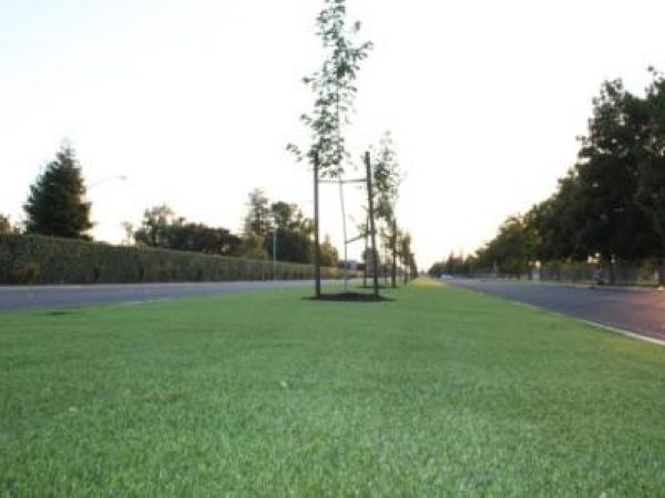 Christoffersen Parkway's artificial turf medians in Turlock.