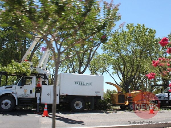 Brandon McMillan/TurlockCityNews.com